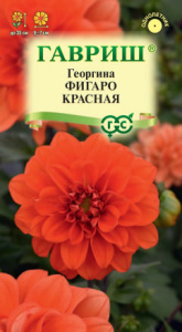 Георгина Фигаро красная   купить