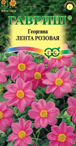 Георгина Лента розовая купить