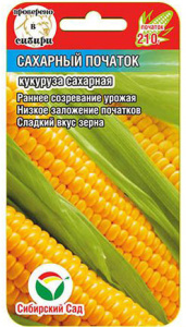 Кукуруза Сахарный початок  купить