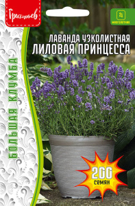 Лаванда узколистная Лиловая принцесса купить