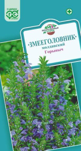 Змееголовник Горыныч  купить