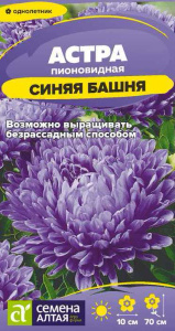Астра Синяя Башня  купить