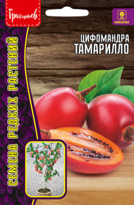 Цифомандра Тамарилло (Томатное дерево) купить
