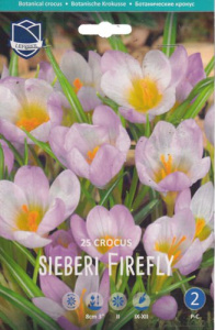 Крокус sieberi "Firefly" (1х25шт) купить