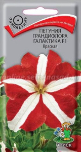 Петуния Ностальжи купить