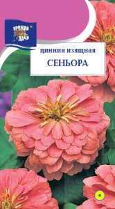 Цинния Сеньора купить