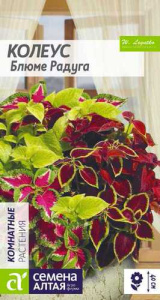Колеус Блюме Радуга, смесь  купить