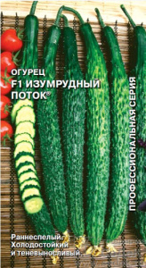Огурец Изумрудный поток F1 купить