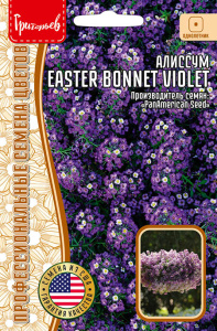 Алиссум Эстер Боннет Вайолет (Easter Bonnet Violet) купить