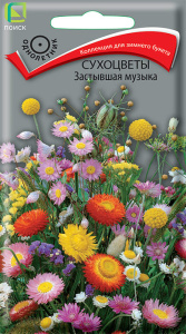 Сухоцветы Застывшая музыка купить