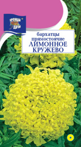 Бархатцы Лимонное кружево прям. махр. купить