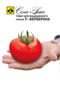 Томат Берберана F1 купить
