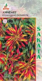 Амарант Спленденс Перфекта 30шт купить
