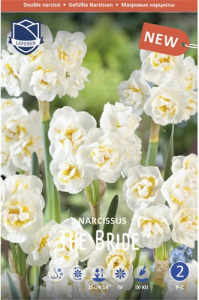 Нарцисс Зе Брайд /5шт купить