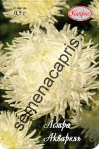 Астра Акварель белая/1шт купить