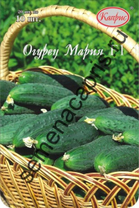 Огурец Мария F1 /1шт  купить