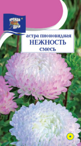 Астра Нежность, смесь пионовидная купить