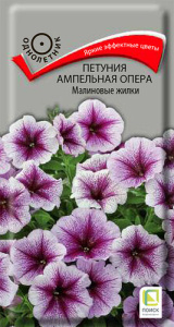 Петуния Опера F1 Малиновые жилки  купить