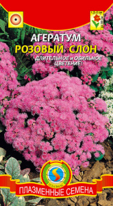 Агератум Розовый слон купить