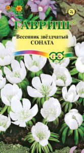 Весенник звездчатый Соната   купить