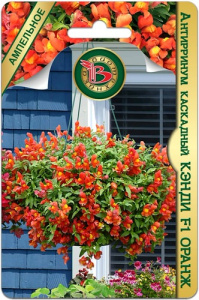 Антирринум каскадный Кэнди F1 Оранж купить