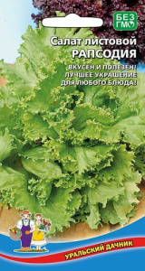 Салат Рапсодия  купить