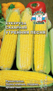 Кукуруза Утренняя песня F1  купить