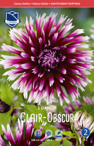 Георгина кактусовая Clair-Obscur /1шт купить