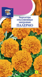 Бархатцы Палермо отклоненные махровые  купить