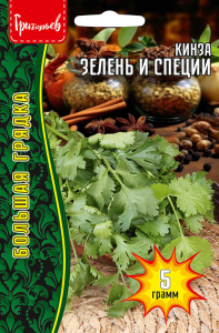 Кинза Зелень и Специи купить