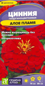 Цинния Алое пламя купить