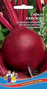 Свекла Хавская  купить