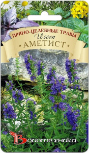 Иссоп Аметист  купить