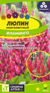 Люпин Фламинго  купить