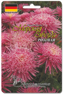 Астра Морская Звезда Розовая 40 шт купить