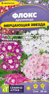 Флокс Мерцающая Звезда друммонда купить