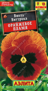 Виола Оранжевое пламя купить