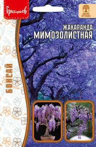 Жакаранда Мимозолистная купить
