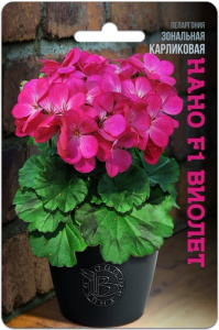 Пеларгония карликовая Нано F1 Виолет  купить