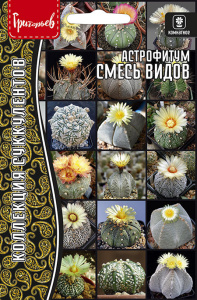 Астрофитум Смесь Видов купить