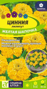 Цинния лилипут Желтая шапочка  купить