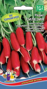 Редис Силезия  купить