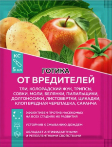 Готика 5мл купить