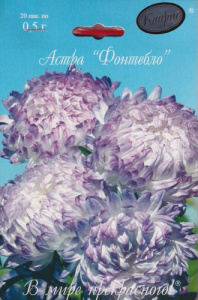 Астра Фонтебло/1шт купить