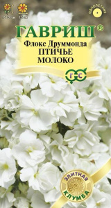 Флокс Птичье Молоко Друммонда купить