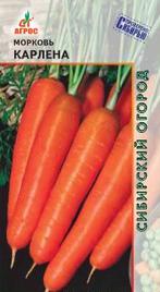 Морковь Карлена  купить