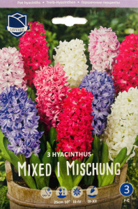 Смесь гиацинтов (1х10шт) купить