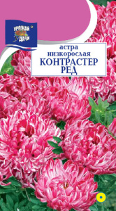Астра Контрастер Ред низкорослая УУ купить
