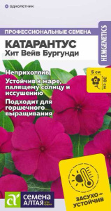 Катарантус Хит Вейв Бургунди купить