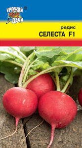 Редис Селеста F1  купить